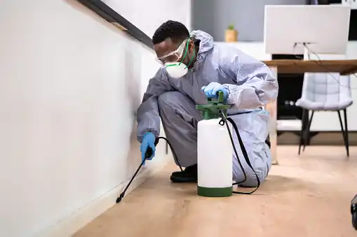 pest control The Valley